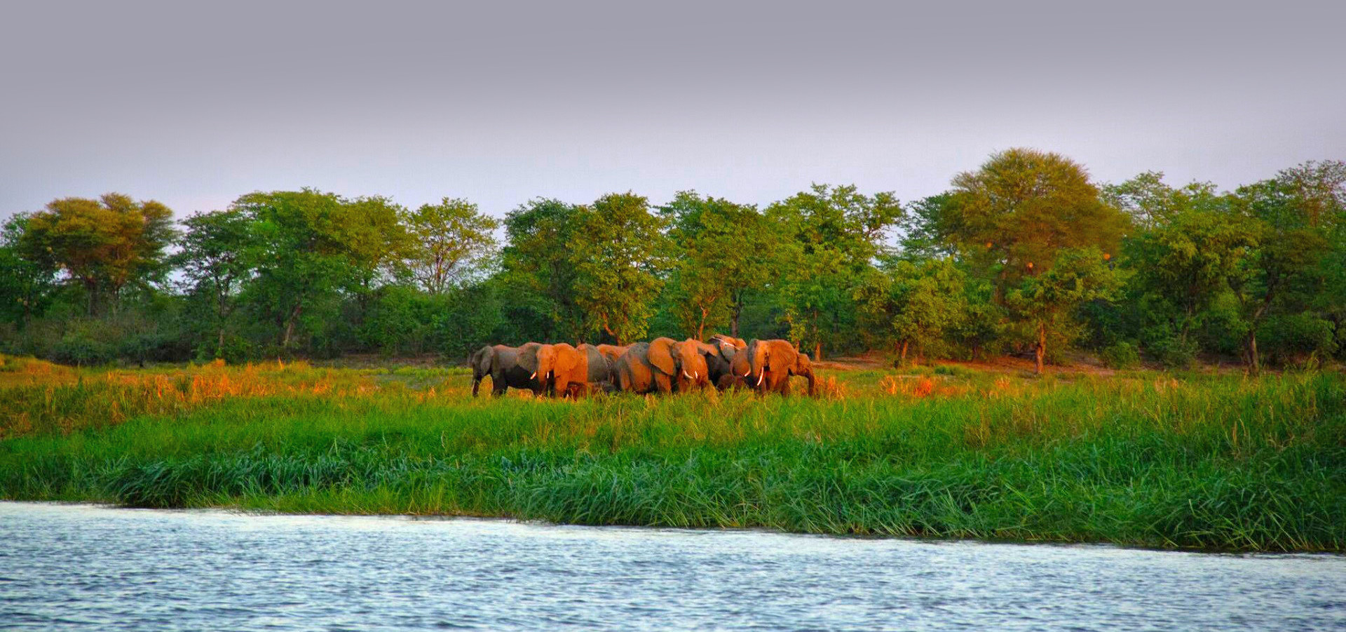 Safari Company Mozambique