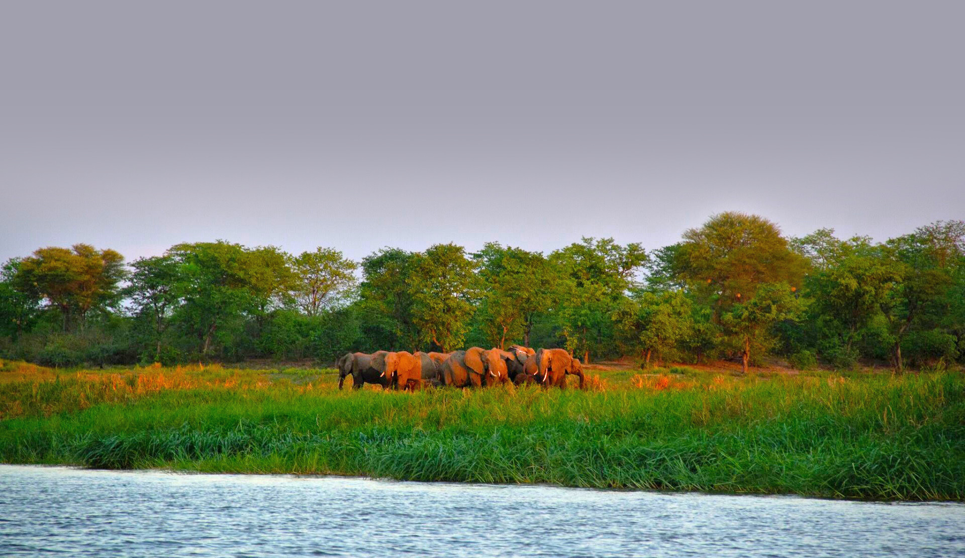 Safaris De Moçambique
