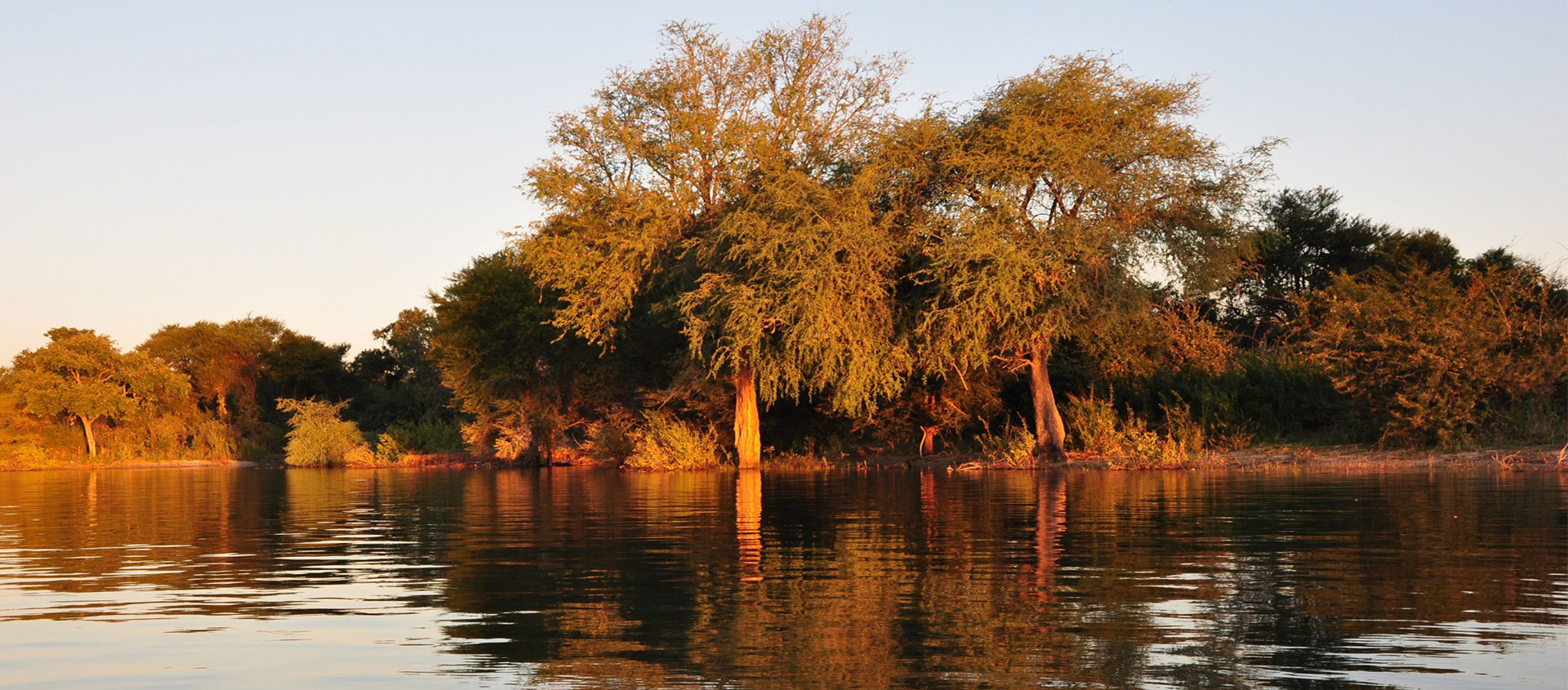 Tiger Fishing Zambezi